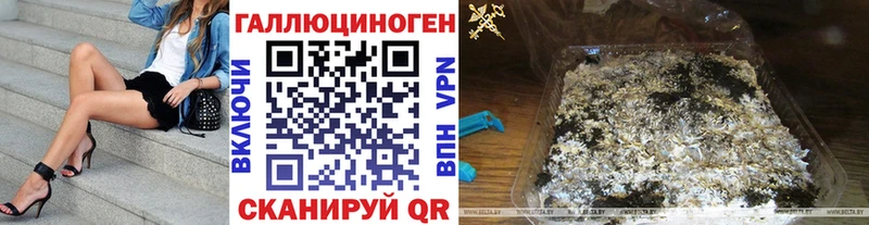 закладка Менделеевск Псилоцибиновые грибы мухоморы